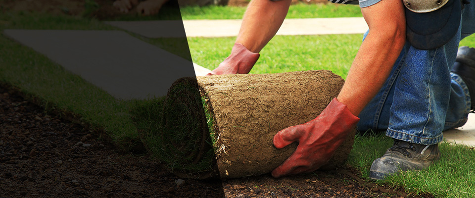 Escanaba Landscapers